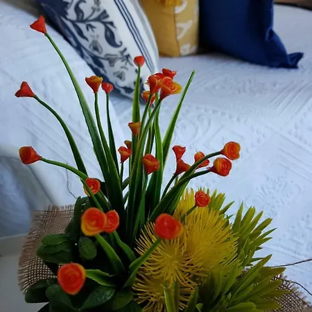 Loft Chic La Boutique Apartment Vejer de la Frontera